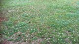 Hail in Hinton
