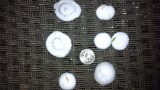 Fairview Hail - Chris Cayot