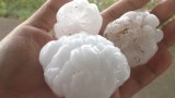 Hail - Leah Gouge