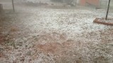 Hail - Tom Haley