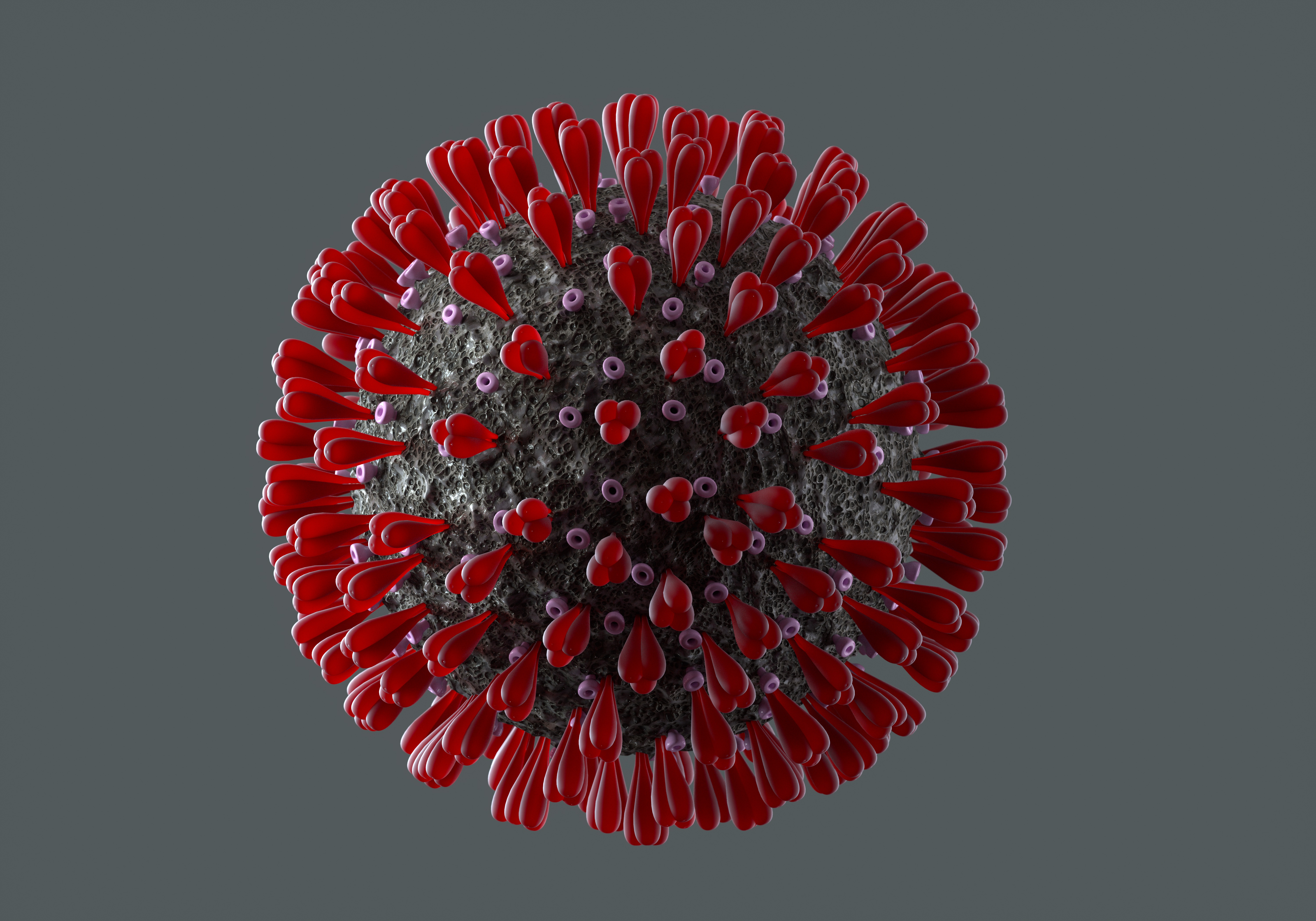 Coronavirus structure