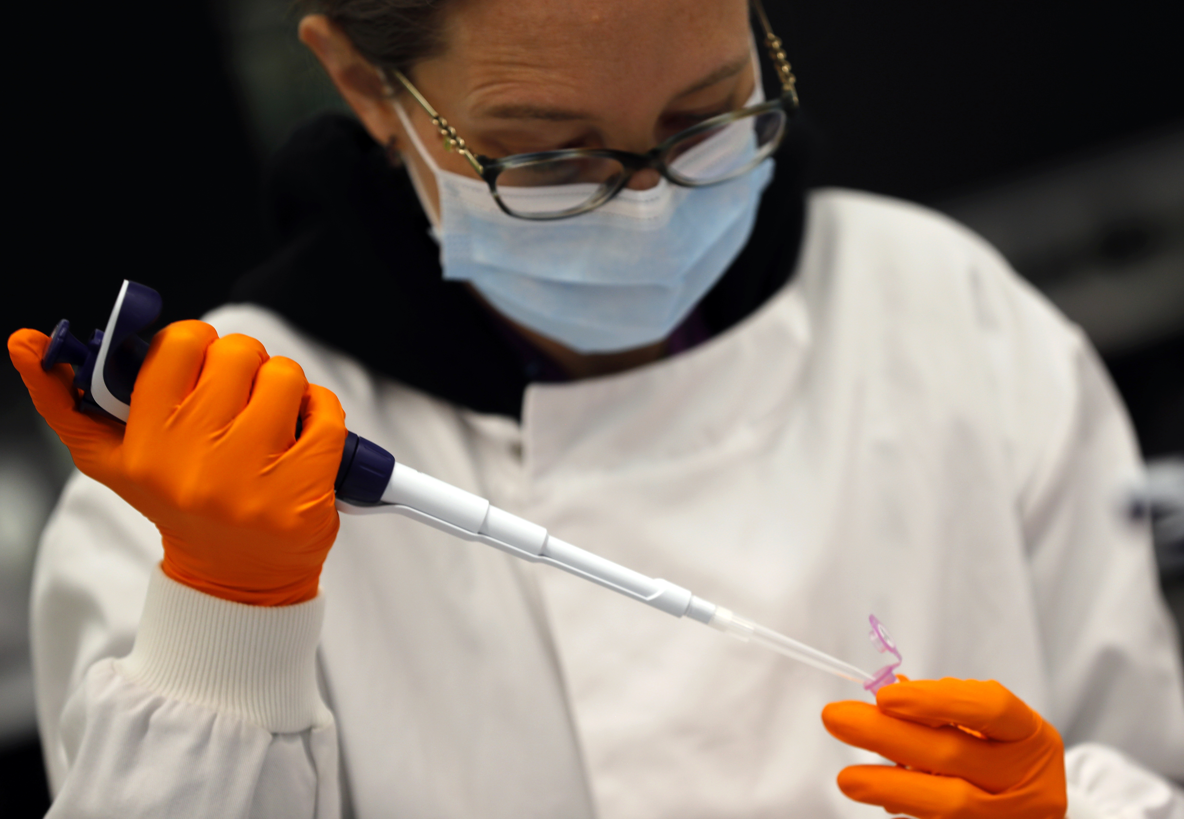 A lab assistant uses a pipette to prepare Coronavirus RNA for sequencing