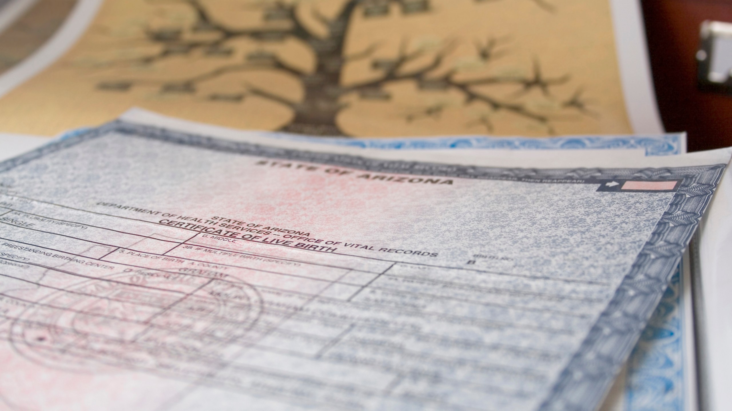 Birth Certificates and family tree
